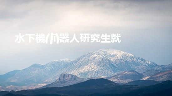 水下機(jī)器人研究生就業(yè)：海底深處的黃金崗位，你敢挑戰(zhàn)嗎？